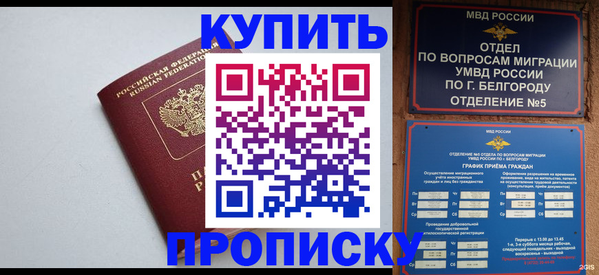 прописка регистрация в Камызяке